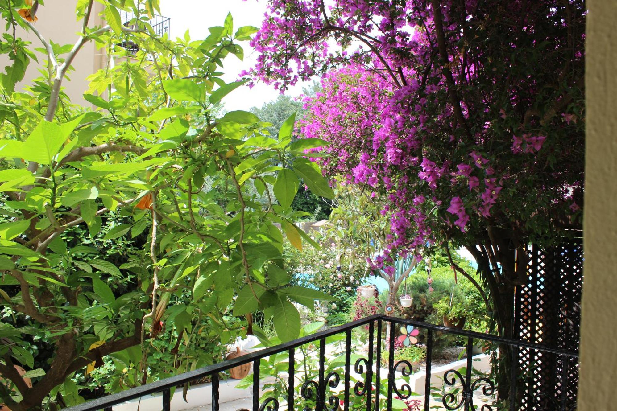 Tunacan Hotel Ölüdeniz Esterno foto